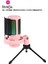 Youtuber Mikrofon Mv-5 Pembe Rgb USB Oyuncu Yayıncı ve Podcast Için Uyumlu Condenser Mikrofon 1