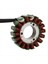 Husqvarna TE250 TE310 Için 8000A6773 Motosiklet Jeneratör Stator Bobini (Yurt Dışından) 4