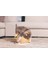 Xmpdby Beeztees Dbl Kedi Tırmalama ve Oyuncağı, 29,5X29,5X22CM 2