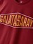 Galatasaray Çocuk T-Shirt C252097 3