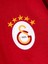Galatasaray Çocuk Zip Hoodie C252071 7