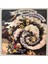The Moody Blues A Question Of Balance Lp Plak (Orjinal 1970 Dönem Türk Baskı Plak) 1