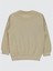 Erkek Çocuk Bej Sweatshirt 2-5 Yaş Bisiklet Yaka Düz Renk Truvakar Kol 4