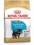 Yorkshire Terrier Yavru Köpek Maması 1.5kg 10