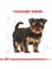Yorkshire Terrier Yavru Köpek Maması 1.5kg 13