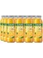 KUZEYDEN%100 Sıkma Portakal Suyu 12X250ML 1