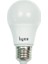Akıllı LED Ampul 1