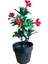 Yapay Çiçek Saksıda Kokina Mutluluk Huzur ve Şans Sembolü Ev Dekor Süs Bitkisi 1