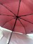 Bordo 8 Telli Otomatik Rüzgar Dayanıklı Düz Renk Şemsiye 4