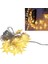 Winnboss WN-1181 5 Metre 20 Ledli Yıldızlı Günışığı Sabit LED Dekoratif Aydınlatma 5 Watt AC220V 1