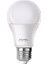 Pmled-12 10 Watt 12 Volt 6500K LED Ampul 1