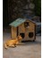 Kedi Kulübesi 2