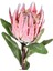 Yapay Protea Çiçeği Kırmızı 60 Cm. 2
