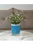 Dahil, Dahil, Çiçek,beyaz Yapay Çiçek, Dekoratif Gri Mavi Poliresin 8X4X16CM 1