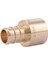 1/2 x 1/2 Inç Sıkma Dişi Ter Adaptörü, 10&apos;lu Paket, Pirinç Tesisat Armatürü, Pex Boru, Pe-Rt, UC600LFA10 1