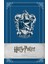 Potter: Ravenclaw Ruled Journal 1
