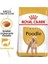 Poodle Yetişkin Köpek Maması, 3 kg 4
