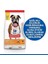 Hill's Scıence Plan Light Yetişkin Orta Irk Tavuklu Köpek Maması 2.5 kg 2