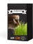 Pomponet Kedi Çimi 100GR (Ürün 1 Yıl Yetiyor) 1