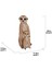 Hi- Ltd. Küçük Anne ve Bebek Meerkat, Kahverengi 1