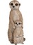 Hi- Ltd. Küçük Anne ve Bebek Meerkat, Kahverengi 3