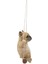 Hi- Ltd 87704-K Fransız Bulldog Swing 2