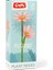 s Plant Series Florist Block Cosmos Bipinnatus 8856 1 1