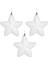 Yılbaşı Süsü Yılbaşı Yıldız 3&apos;lü Set Beyaz 13 Cm. 3