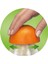 Citrusquick 1 CJ3000WH Narenci̇ye 4