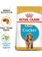 Cocker Kuru Köpek Maması, Yavru Köpek, 3 kg 3