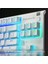 Apex 3 Tkl Türkçe Gaming Klavye Tenkeyless, 8 Bölge Rgb Aydınlatma Türkçe Qwerty - Beyaz 4