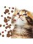 Dana Etli Yetişkin Kedi Maması 15 kg 4