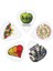 Planet Waves 1CWH2-10B3 Pena Beatles Pena Albums Thın Abd 2