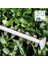 Home And Garden Çit Kesme Makinesi Universalhedgecut 50 (480 W, Bıçak Uzunluğu: 50 Cm, Orta 6