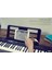 Tone CT-S300C2 61 Tuşlu Org, Siyah 6