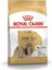 Köpek Maması Shih Tzu Adult 1.5 kg 1