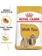 Köpek Maması Shih Tzu Adult 1.5 kg 2