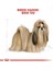 Köpek Maması Shih Tzu Adult 1.5 kg 3