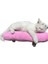 Kedi Oyuncağı Sarılma Yastığı Uyku Oyuncağı Kedi Otlu 30 cm Peluş (1 Adet) (Pembe) 4