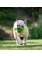 Dura-Squeaks Stick Köpek Oyuncağı (Medium) – Dayanıklı, Gıcırtılı & Suda Yüzen Köpek 4