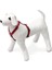 Kilitli Göğüs Tasması, Köpekler Için,25-40 Cm, Kırmızı 1