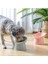 E-Ticaret Kedi Köpek Mama Su Kabı, Mama ve Su Bowl Kabı,plastik. (Mix) 2