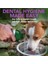 Vet's Best Köpekler Için Ağız Bakım Suyu 500 ml 5