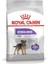 Ccn Mini Sterilised 3 kg Köpek Maması 1