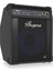 BXD15A 15INC 1000W Bass Gitar Amfisi 4