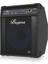 BXD15A 15INC 1000W Bass Gitar Amfisi 6