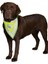 Köpek Bandanası S-M 29-42 Cm, Sarı 4
