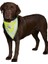 Köpek Bandanası S-M 29-42 Cm, Sarı 7