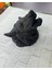 3D Siyah Ayı Başı Duvar Süsü Özel Tasarım Dekoratif Heykel 25X19 cm - BI001V-4YVOK4 5