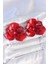 Pirinç Kırmızı Renk Gül Model Kadın Küpe - TJ-BKP10498 1